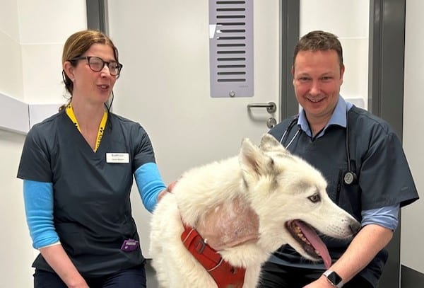 Dexter with Oncology specialist Sarah Mason and Cardiologist Jon Wray