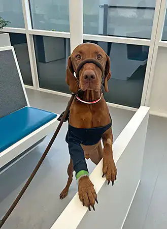 Mattdamon is fighting fit again after undergoing radiotherapy treatment