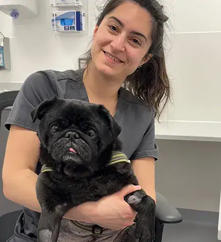 ziggy-southfields-vets