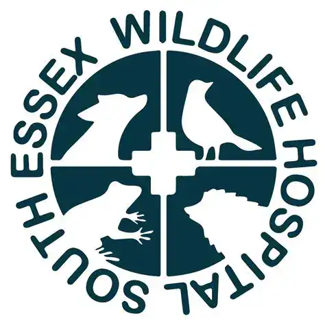 South Essex Wildlife Hospital