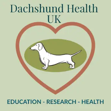 Updates on IVDD and rehabilitation