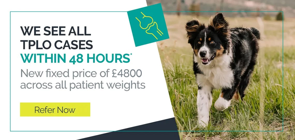 We see all TPLO cases within 48 hours, refer now