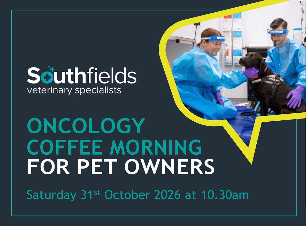 Oncology coffee morning for pet owners
